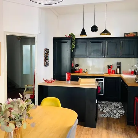 Maison De Maitre Avec Grande Terrasse Au Centre-ville Villa
