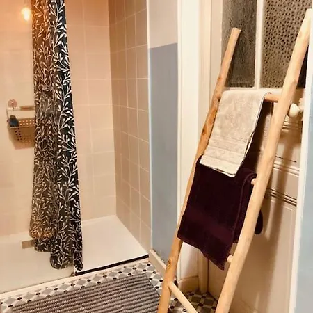 Maison De Maitre Avec Grande Terrasse Au Centre-ville Perpignan