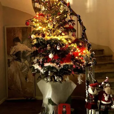 Maison De Maitre Avec Grande Terrasse Au Centre-ville Willa Perpignan