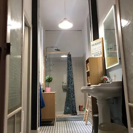 Maison De Maitre Avec Grande Terrasse Au Centre-ville