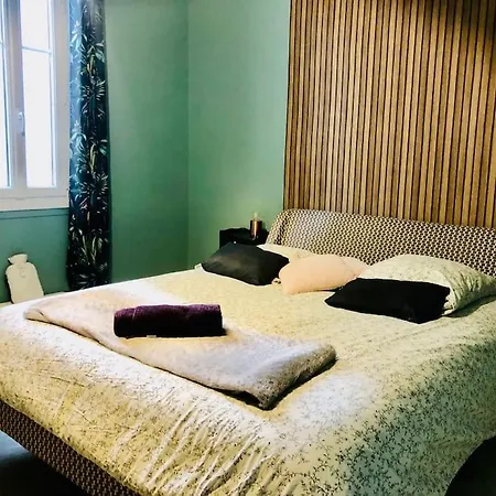 Willa Maison De Maitre Avec Grande Terrasse Au Centre-ville *