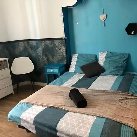 Maison De Maitre Avec Grande Terrasse Au Centre-ville Willa