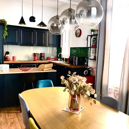 Maison De Maitre Avec Grande Terrasse Au Centre-ville Вилла Перпиньан