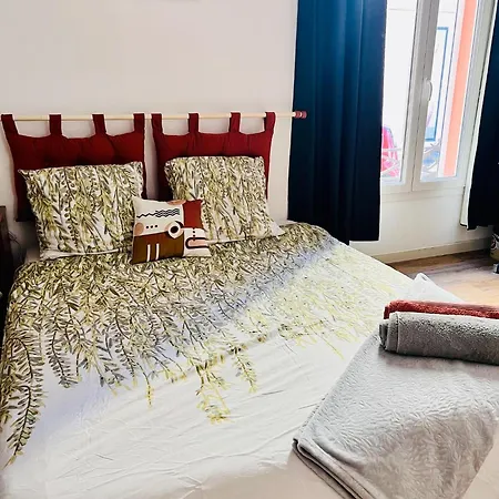 Maison De Maitre Avec Grande Terrasse Au Centre-ville Villa