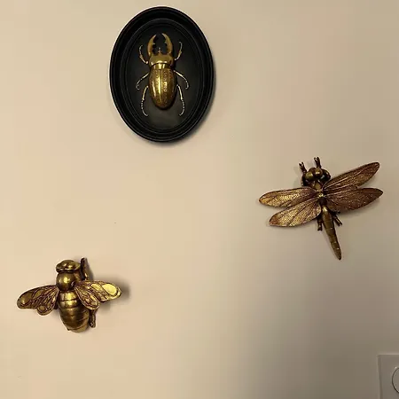 Maison De Maitre Avec Grande Terrasse Au Centre-ville