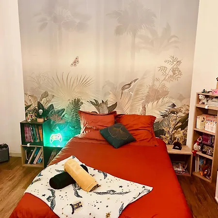 Maison De Maitre Avec Grande Terrasse Au Centre-ville ヴィラ ペルピニャン