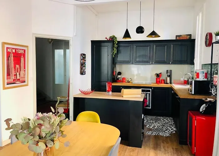 Maison De Maitre Avec Grande Terrasse Au Centre-ville Villa