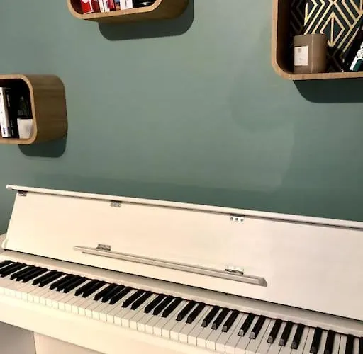 Maison De Maitre Avec Grande Terrasse Au Centre-ville