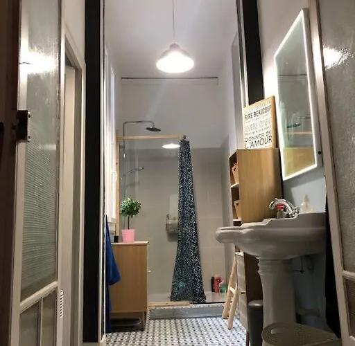 Maison De Maitre Avec Grande Terrasse Au Centre-ville