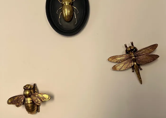 Maison De Maitre Avec Grande Terrasse Au Centre-ville